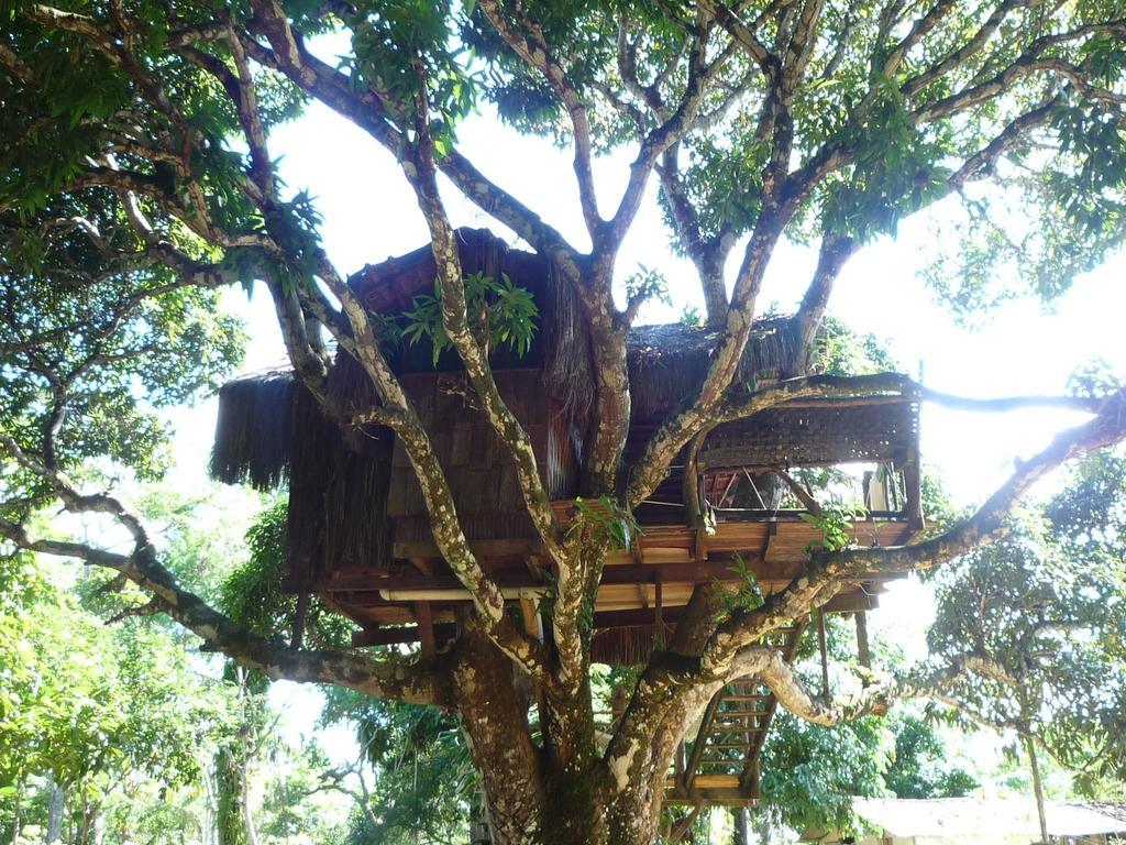 Art Jungle Hotel Itacaré Exterior foto