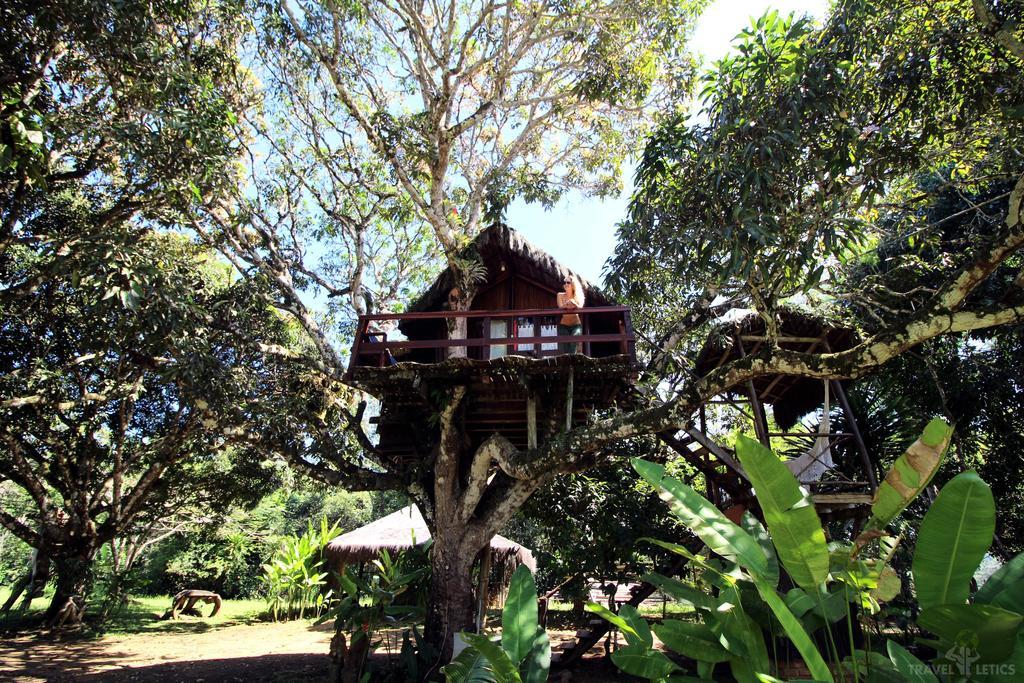 Art Jungle Hotel Itacaré Exterior foto