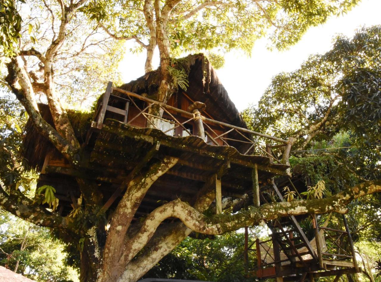 Art Jungle Hotel Itacaré Exterior foto
