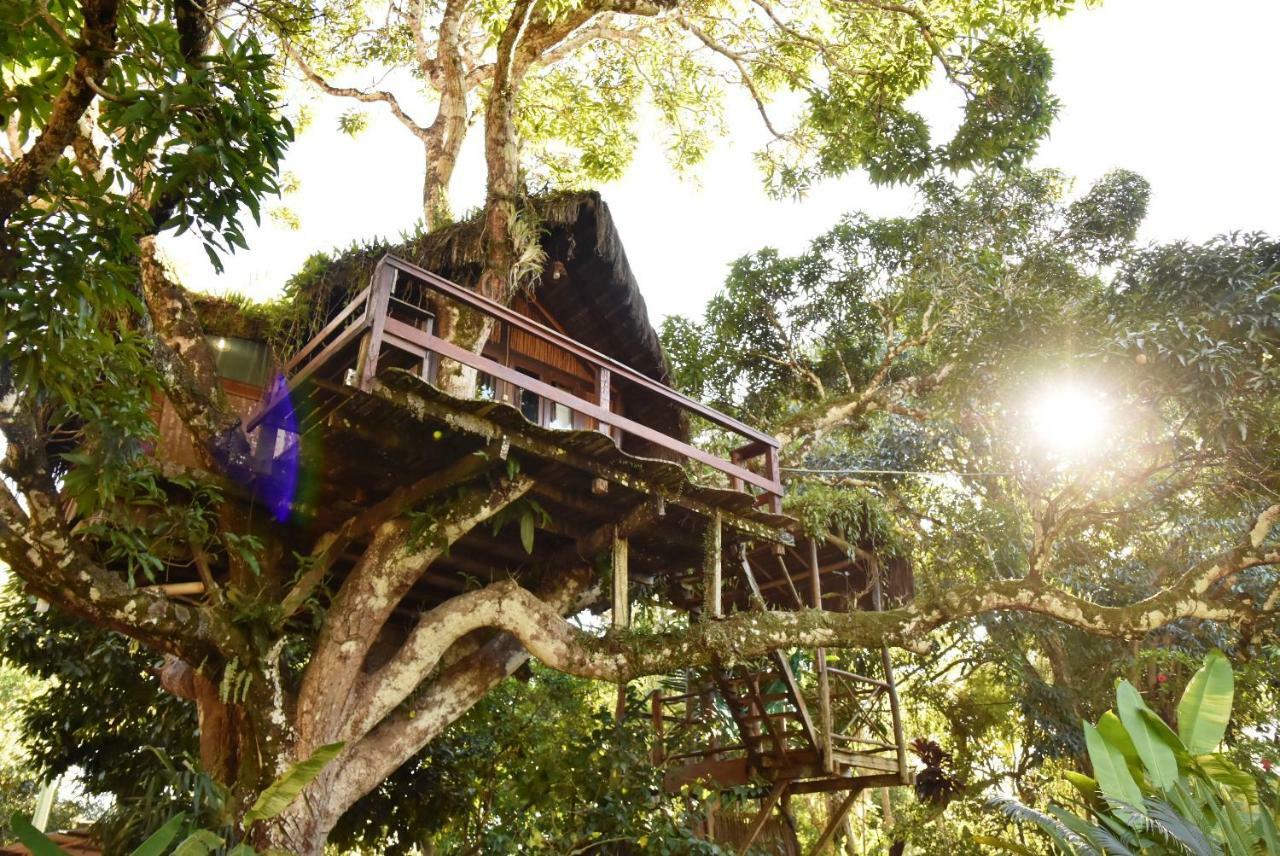 Art Jungle Hotel Itacaré Exterior foto